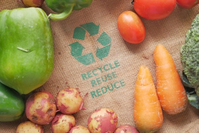 10 Best Eco-Friendly Ways To Reduce Waste at Home | Fusion Waste